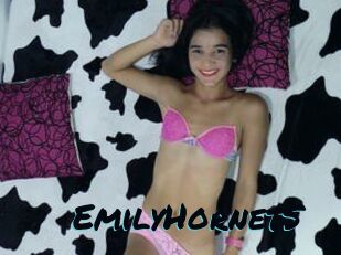 EmilyHornetS