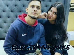Elektraandmike