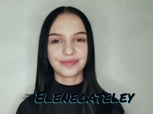 Elenegateley