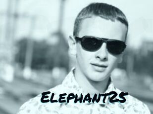 Elephant25
