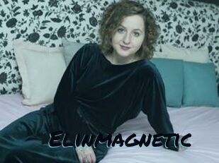 Elinmagnetic