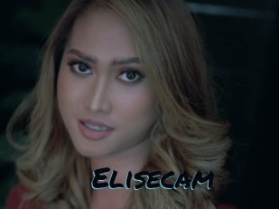Elisecam