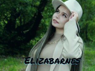 Elizabarnes