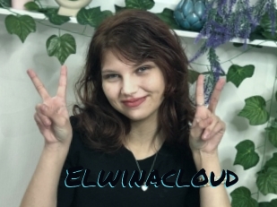 Elwinacloud