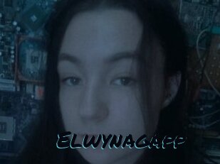 Elwynagapp