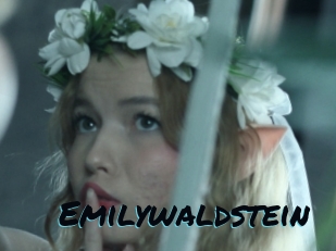 emilywaldstein Sexties