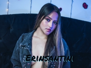 Erinsantini