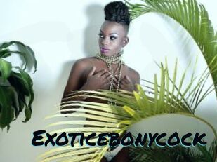 Exoticebonycock