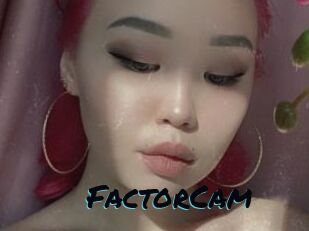 FactorCam