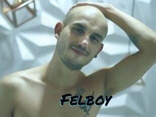Felboy