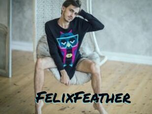 FelixFeather
