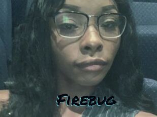 Firebug