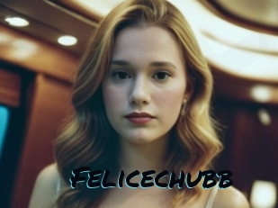 Felicechubb