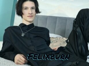 Felixburn
