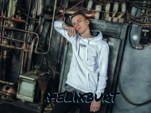 Felixburt