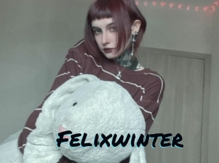 Felixwinter