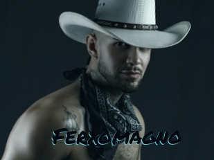 ferxomagno Sexties