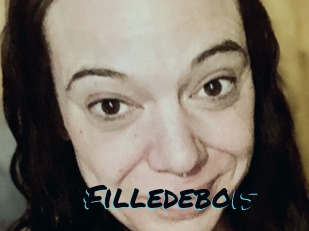 Filledebois