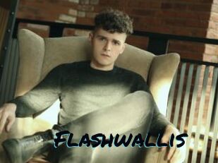 Flashwallis