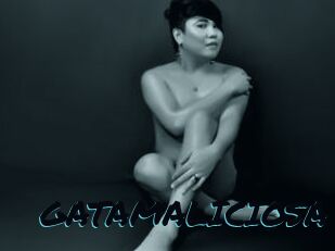 GATAMALICIOSA