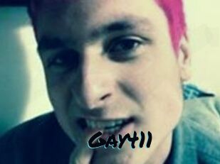 Gay411