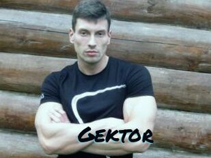 Gektor