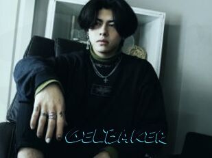 GelBaker