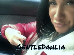 GentleDahlia