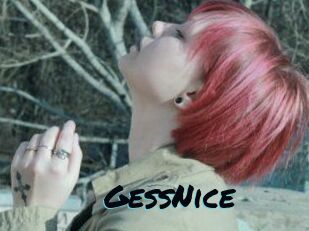 GessNice