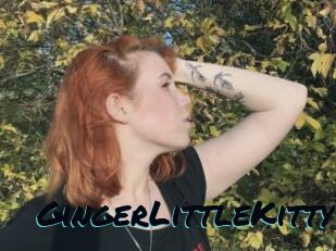 GingerLittleKitty