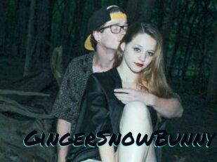 GingerSnowBunny