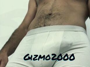 Gizmo2000