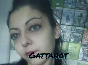 Gattahot