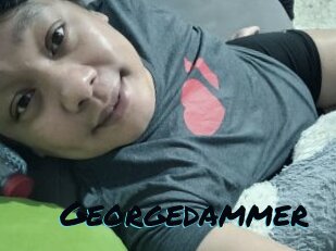 Georgedammer