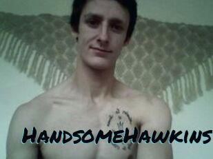 HandsomeHawkins