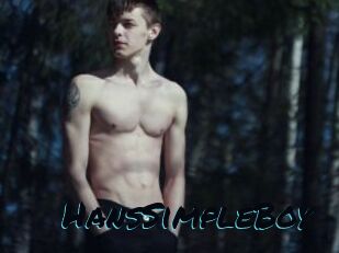 HansSimpleBoy