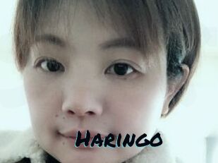 Haringo