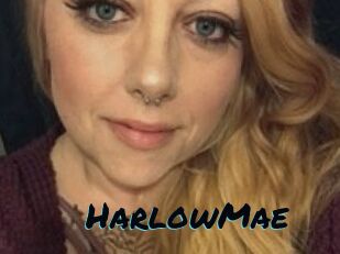 HarlowMae