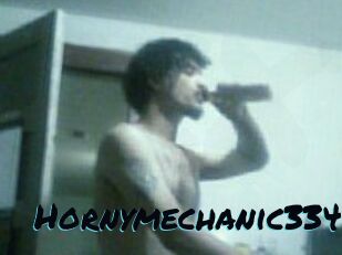 Hornymechanic334