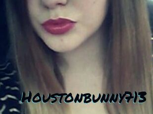 Houstonbunny713