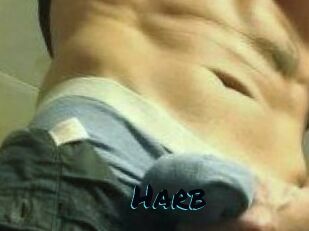 Harb