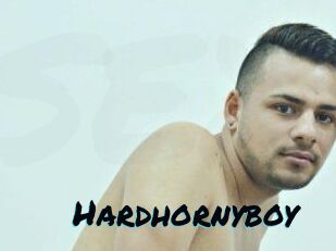 Hardhornyboy