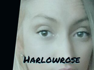 Harlowrose
