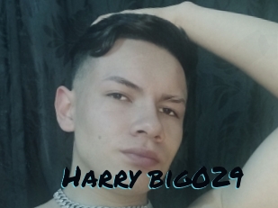Harry_big029