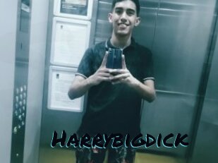 Harrybigdick