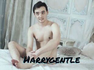 Harrygentle
