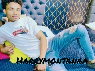 Harrymontanaa