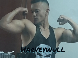 Harveywull