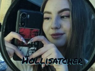 Hollisatcher