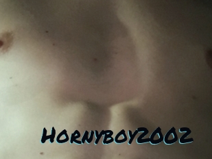 Hornyboy2002